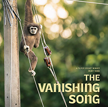 The Vanishing Song